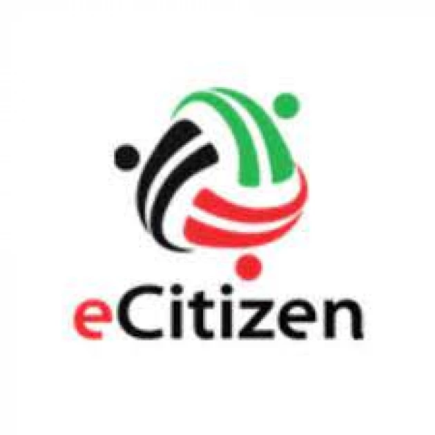 CS Owalo confirms hacking of eCitizen, explains what happened 