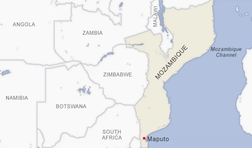 2 dead in protests over Mozambique election results, says watchdog