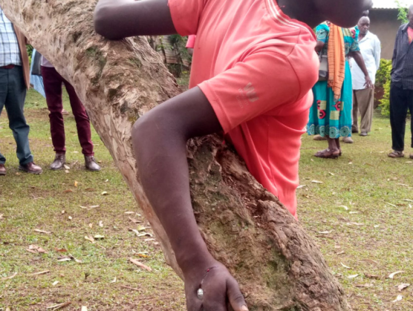 Police hunting down man who nailed suspected radio thief to a tree