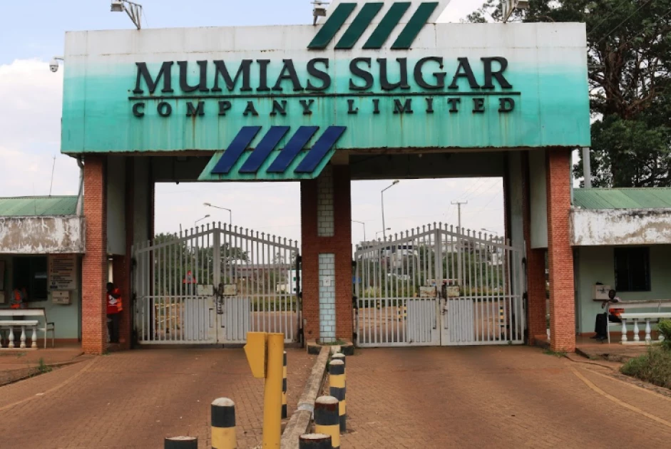 Former Mumias Sugar workers demand expulsion of Sarrai Group in letter to President Ruto