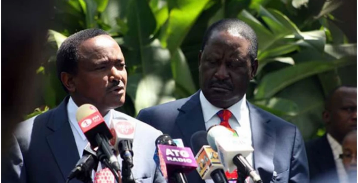 Raila, Kalonzo slam President Ruto's decision on GM maize, insist it is harmful