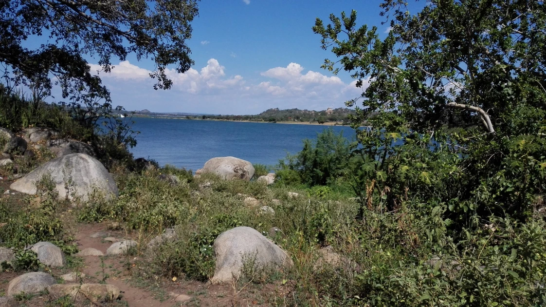 Lake Victoria: Locals push for establishment of more tree nursery centres