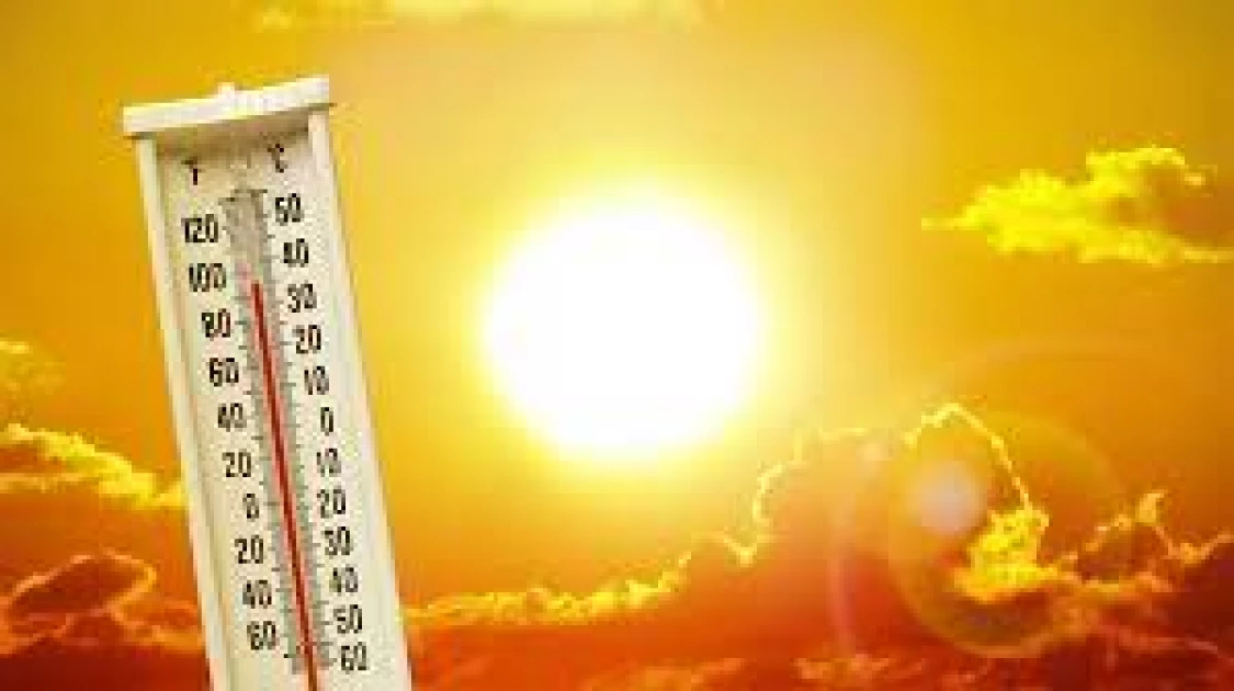 Heatwave kills eight in South Africa: government