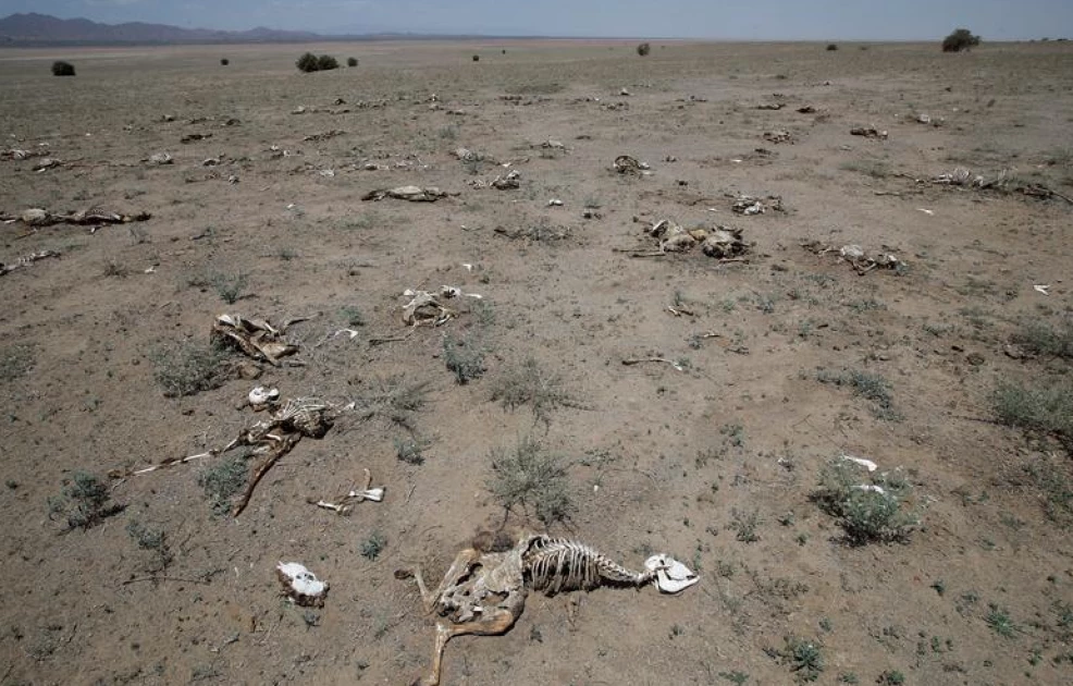 Child eaten by hyena as drought ravages Marsabit