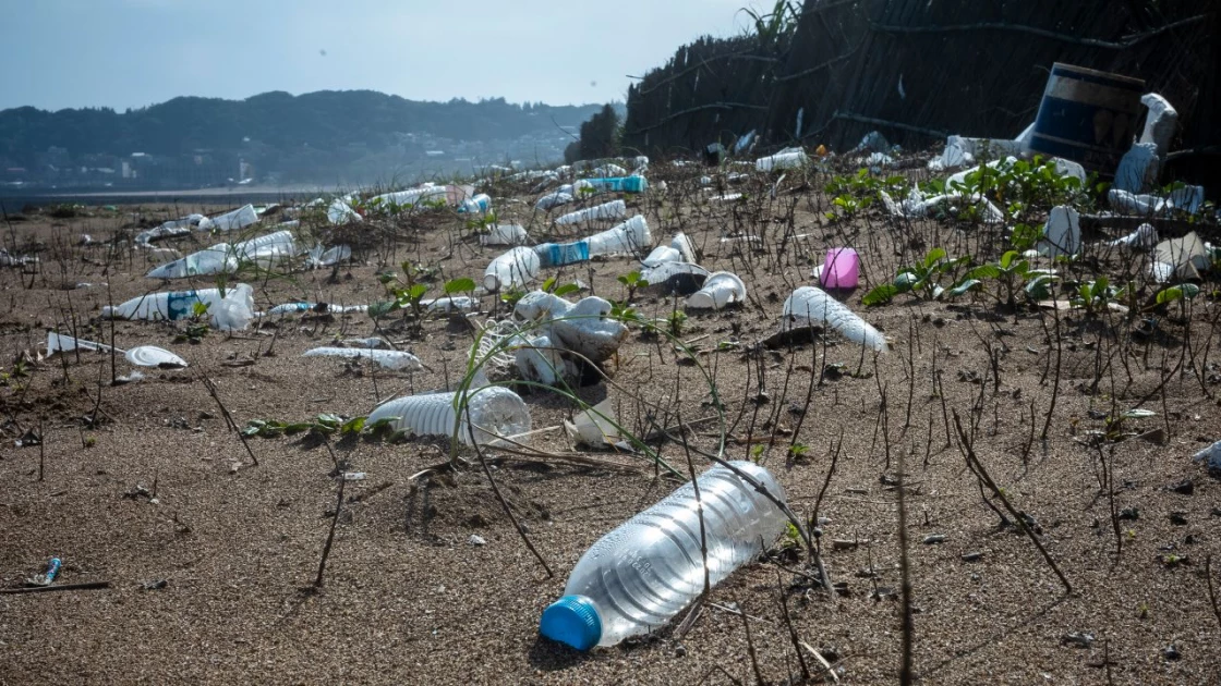 The plastic water bottle industry is booming. Here’s why that’s a huge problem
