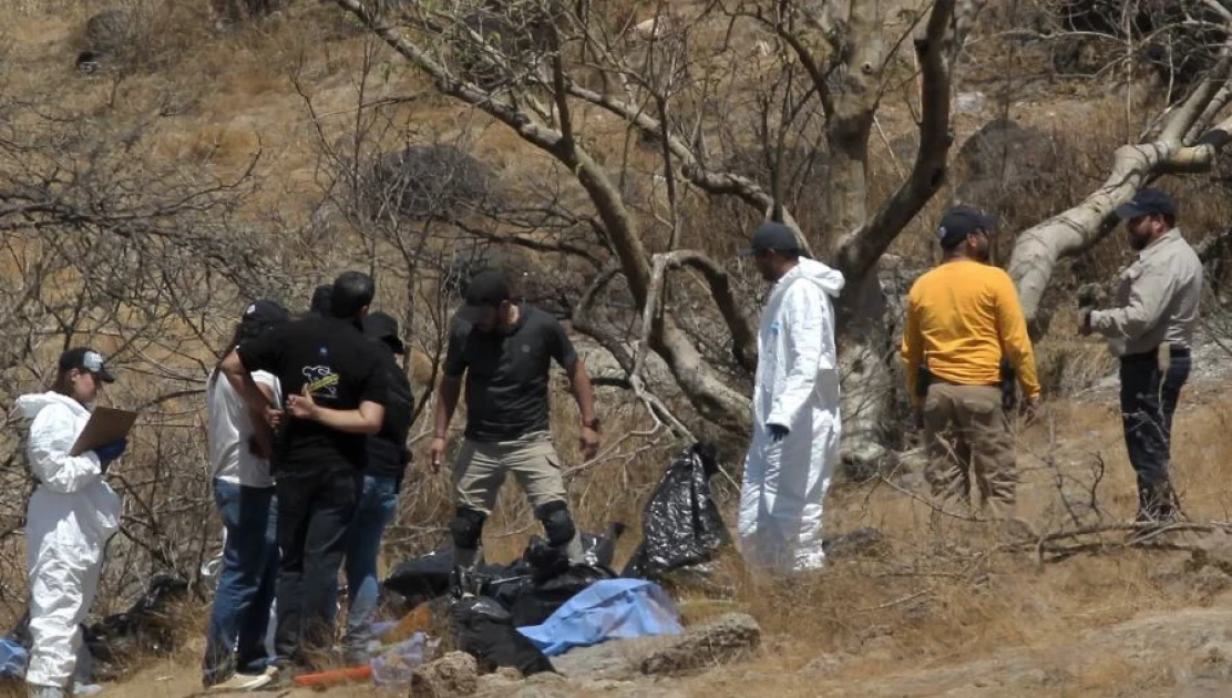 Mexico police find 45 bags containing body parts ‘matching characteristics’ of missing call center staff