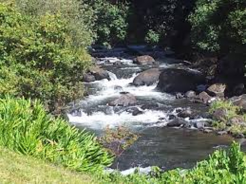 Two Michuki Technical Institute students drown in River Mathioya while taking photos